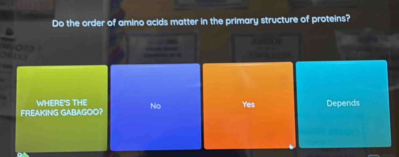 do the order of amino acids matter in the primary structure of proteins…