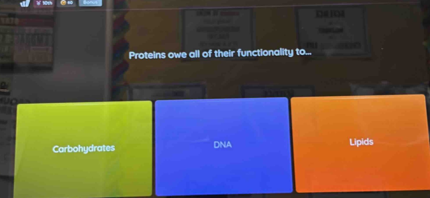 proteins owe all of their functionality to... carbohydrates dna lipids