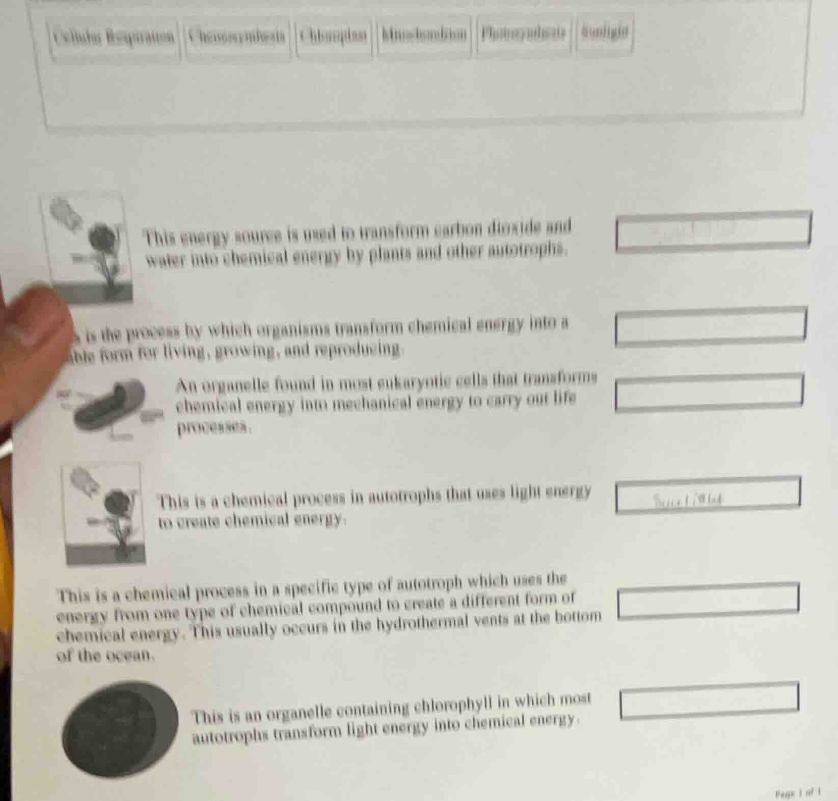 this energy source is used to transform carbon dioxide and water into c…