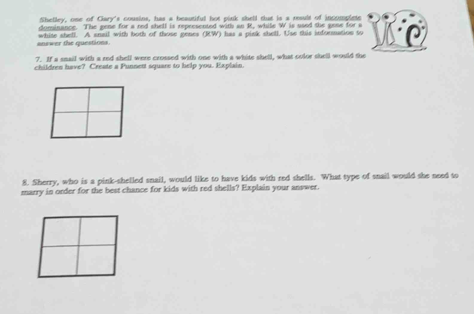 shelley, one of gary’s cousins, has a beautiful hot pink shell that is …