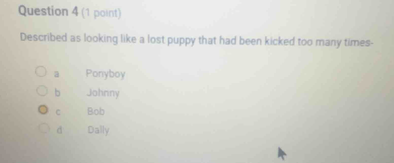 question 4 (1 point) described as looking like a lost puppy that had be…