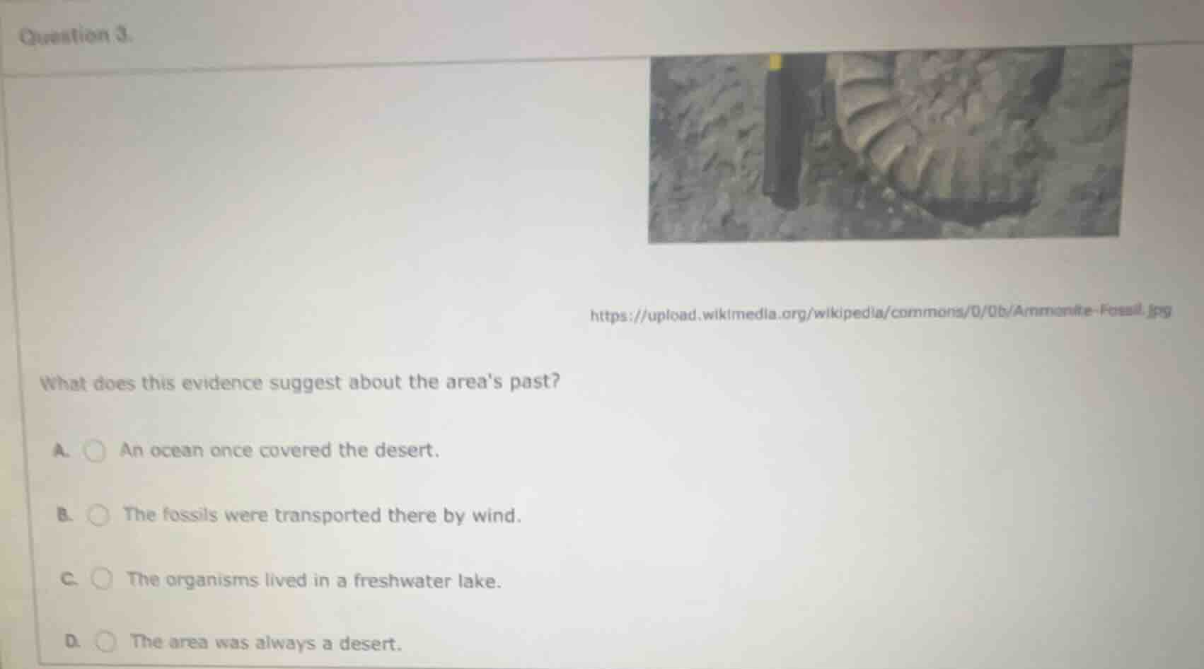 question 3. https://upload.wikimedia.org/wikipedia/commons/0/0b/ammonit…