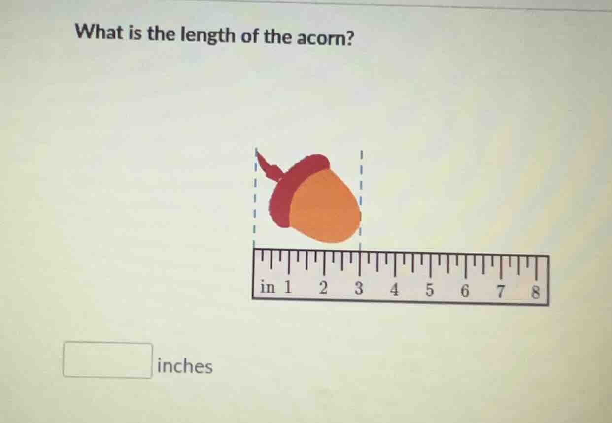 what is the length of the acorn? image of an acorn above a ruler blank …