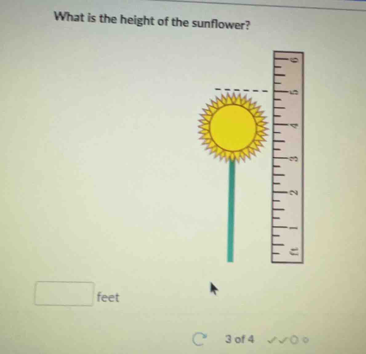 what is the height of the sunflower? sunflower image with a ruler blank…