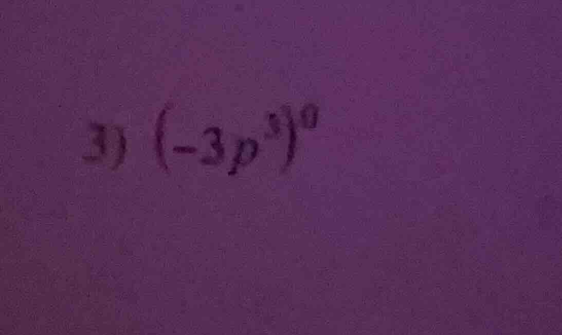 3) $(-3p^{3})^{0}$