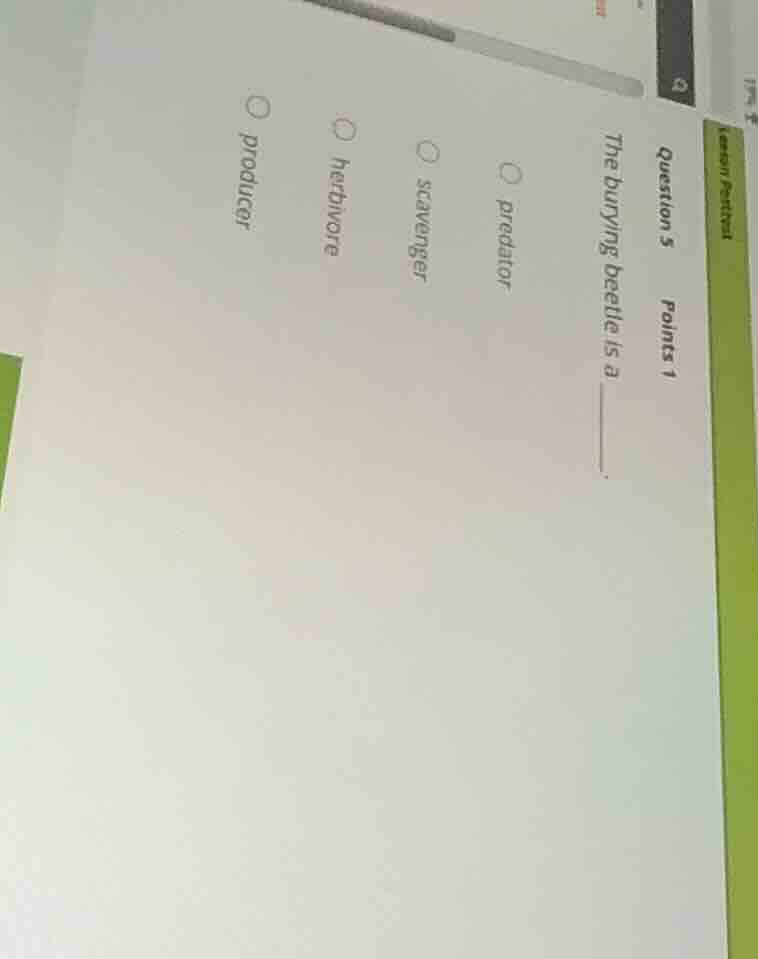 question 5 points 1 the burying beetle is a ______. options: predator s…