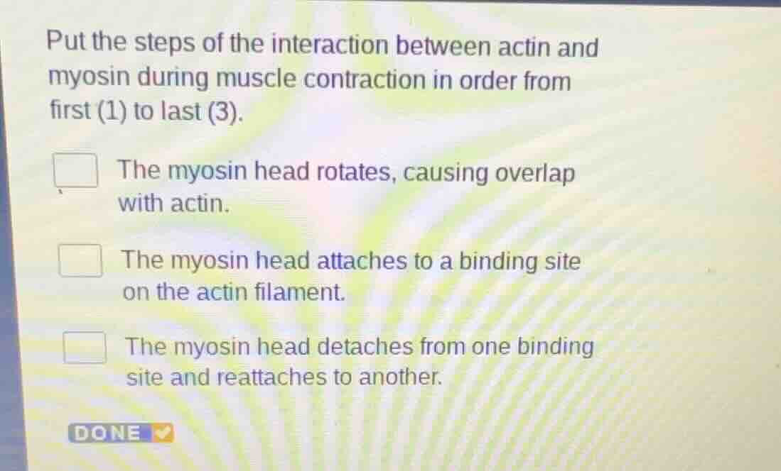 put the steps of the interaction between actin and myosin during muscle…