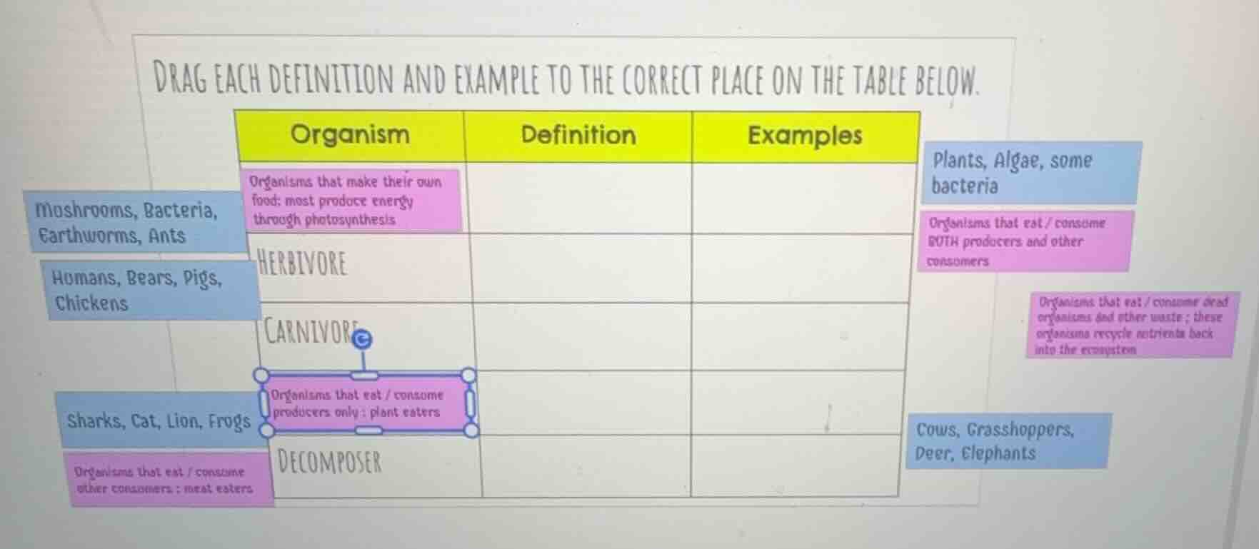drag each definition and example to the correct place on the table belo…