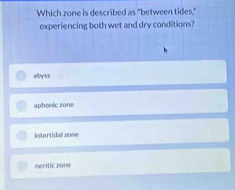 which zone is described as \between tides,\ experiencing both wet and d…