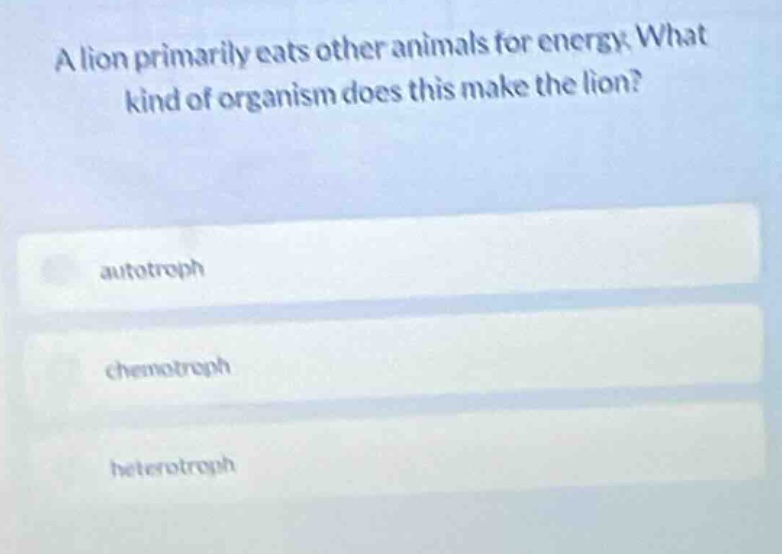 a lion primarily eats other animals for energy. what kind of organism d…