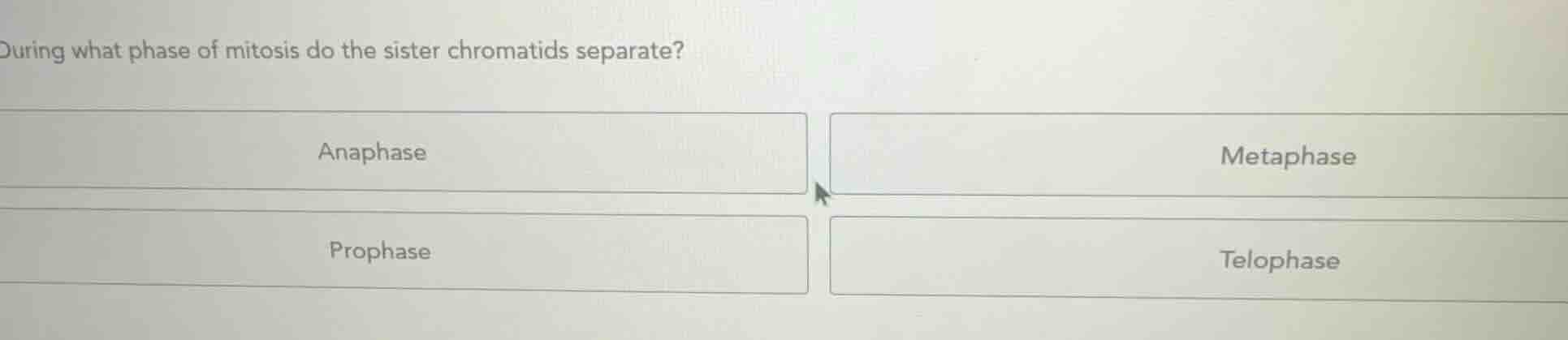 during what phase of mitosis do the sister chromatids separate? anaphas…