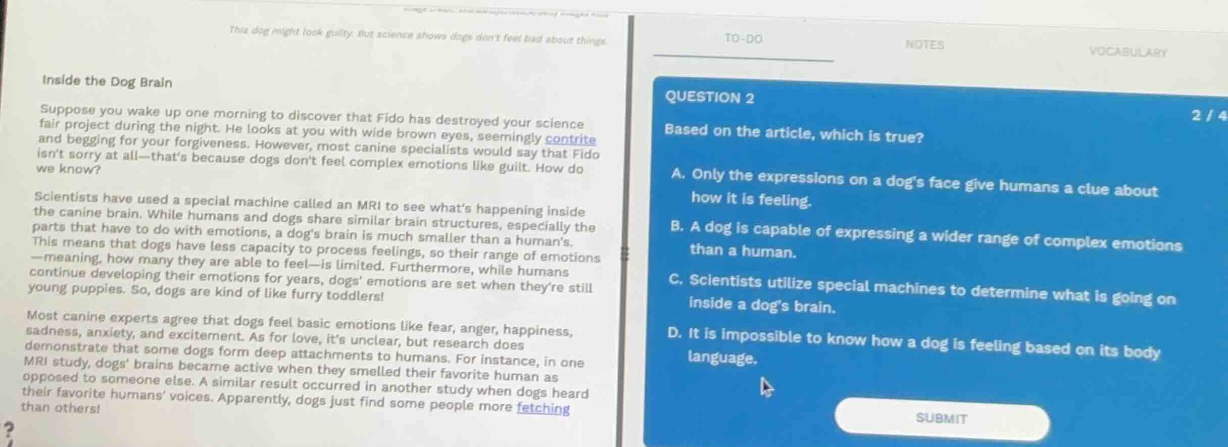 this dog might look guilty. but science shows dogs dont feel bad about …