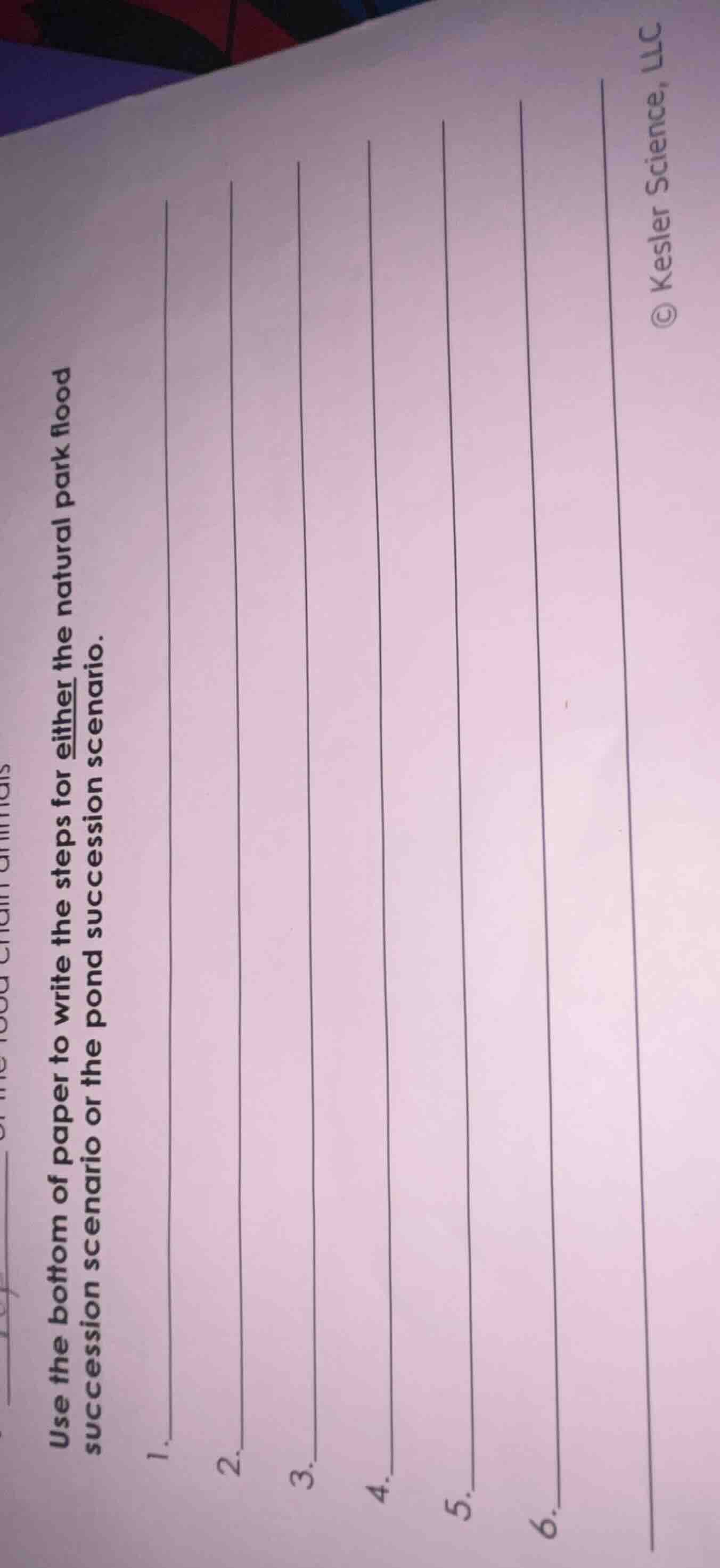 use the bottom of paper to write the steps for either the natural park …