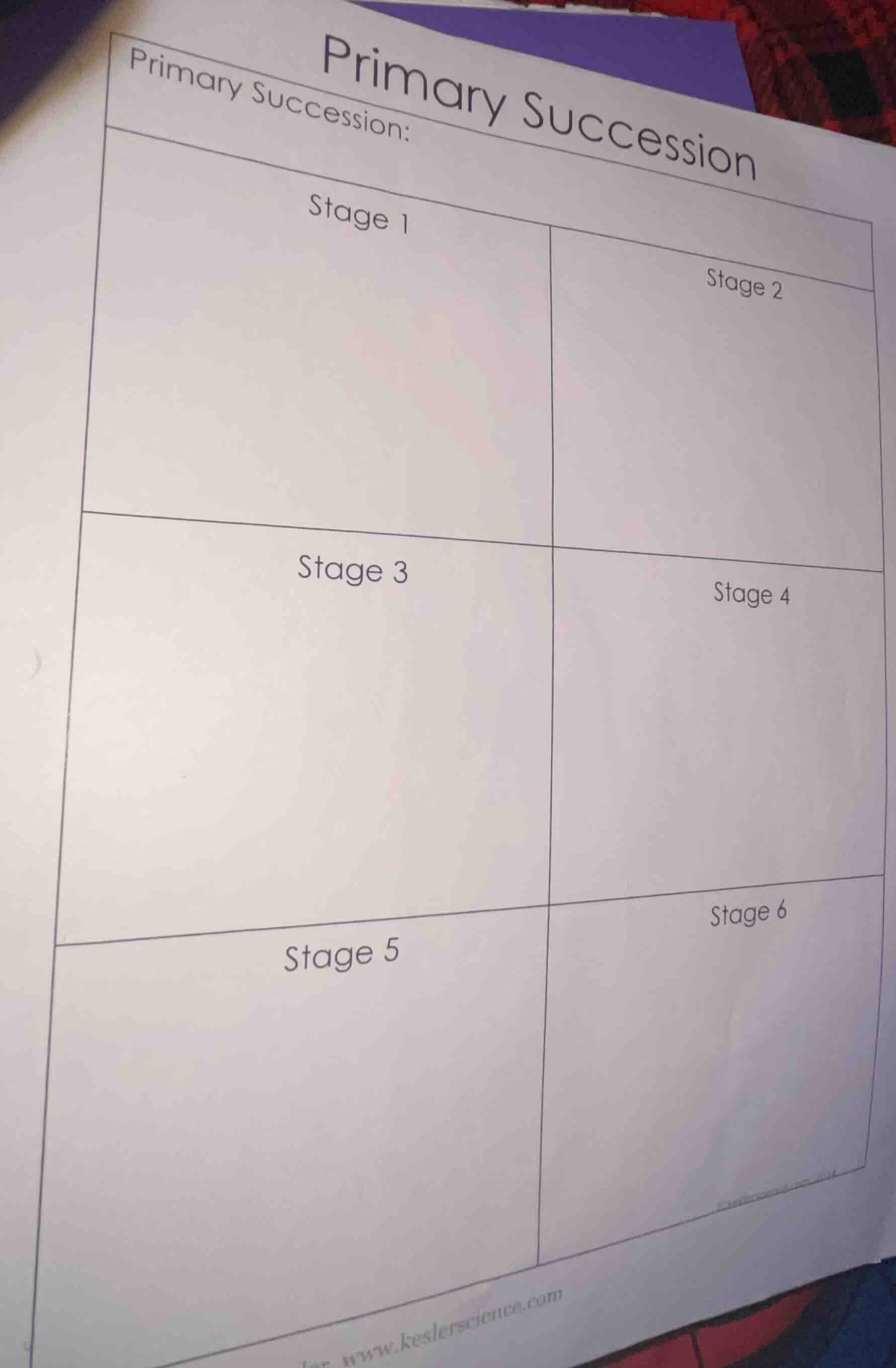 primary succession primary succession: stage 1\tstage 2 stage 3\tstage …