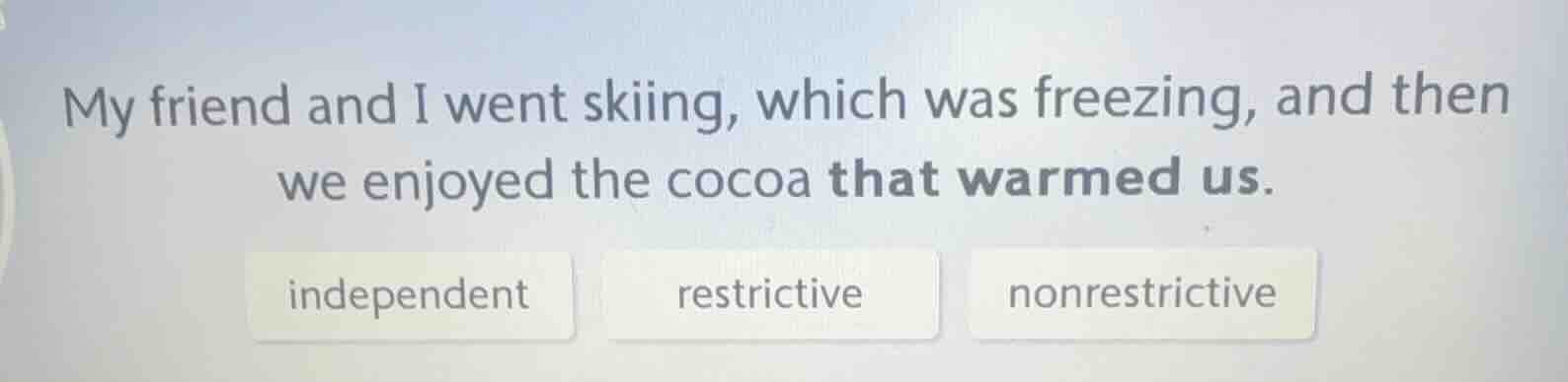 my friend and i went skiing, which was freezing, and then we enjoyed th…