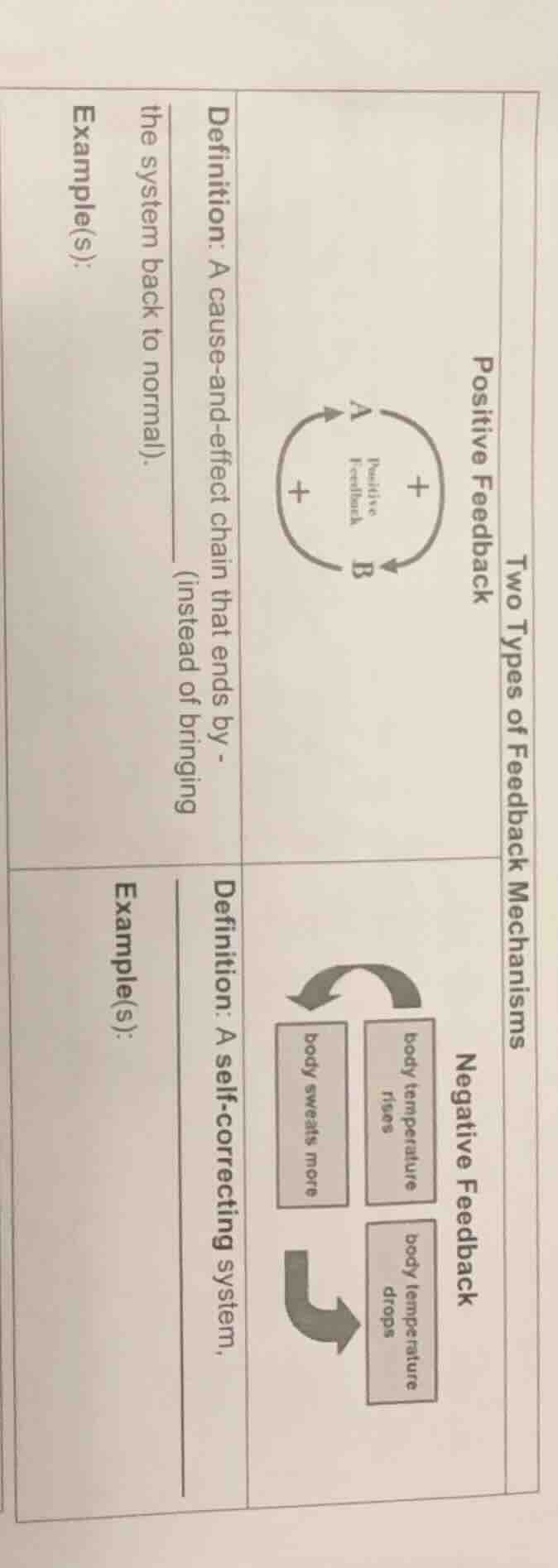 two types of feedback mechanisms positive feedback definition: a cause …