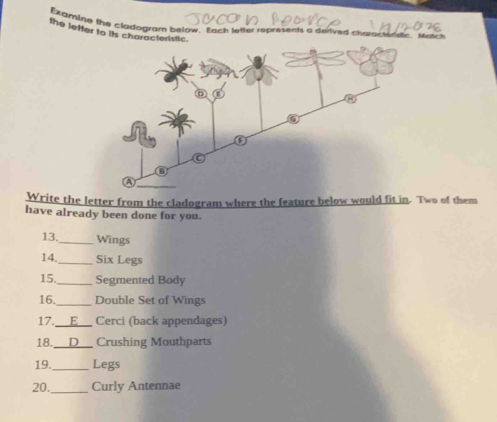 examine the cladogram below. each letter represents a derived character…