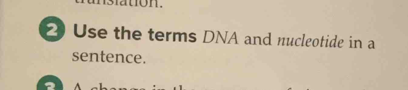 2 use the terms dna and nucleotide in a sentence.