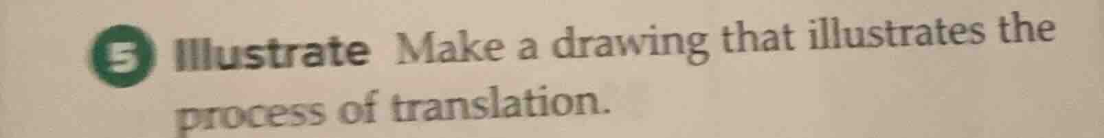 5 illustrate make a drawing that illustrates the process of translation.