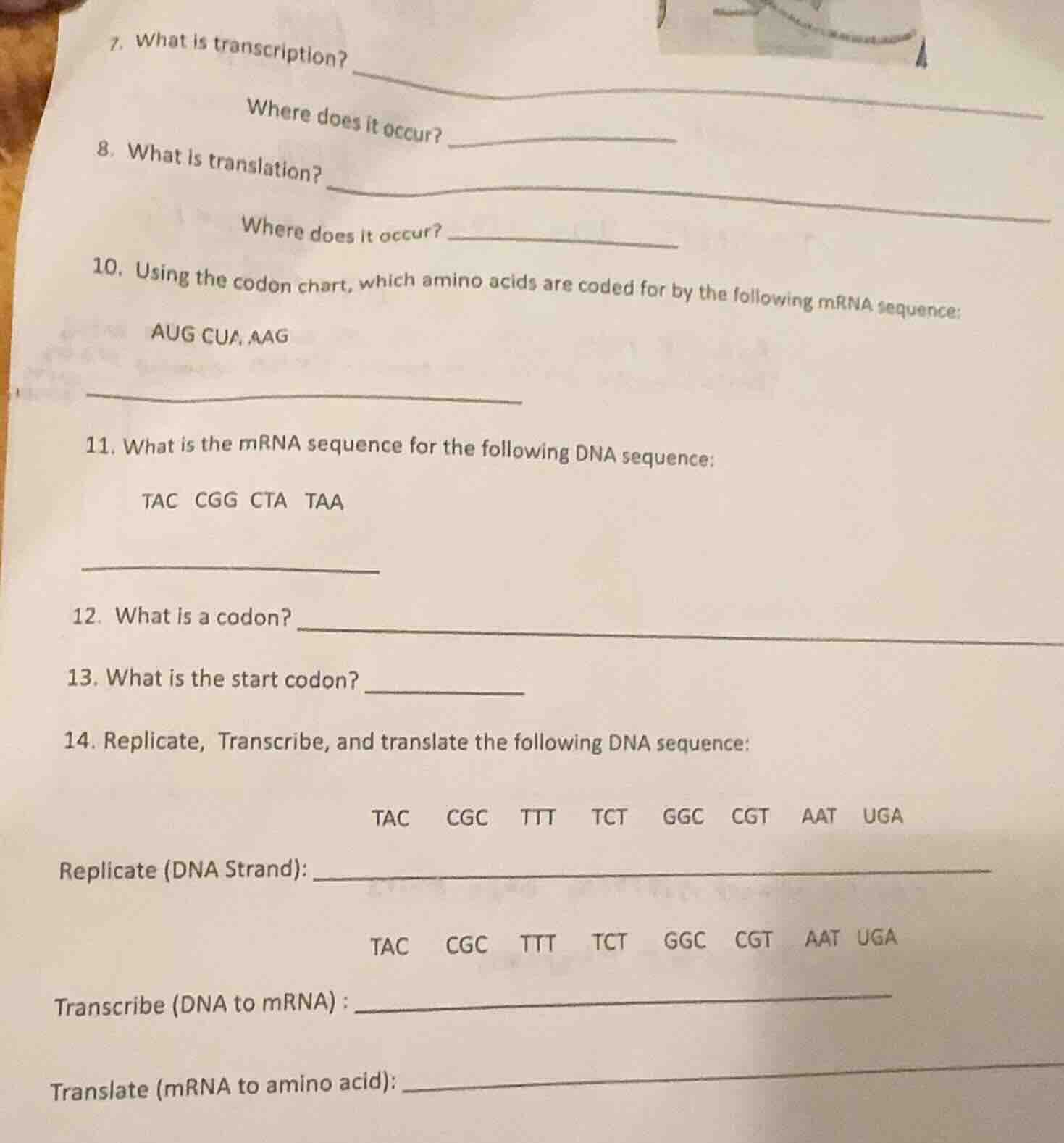 7. what is transcription? where does it occur? 8. what is translation? …