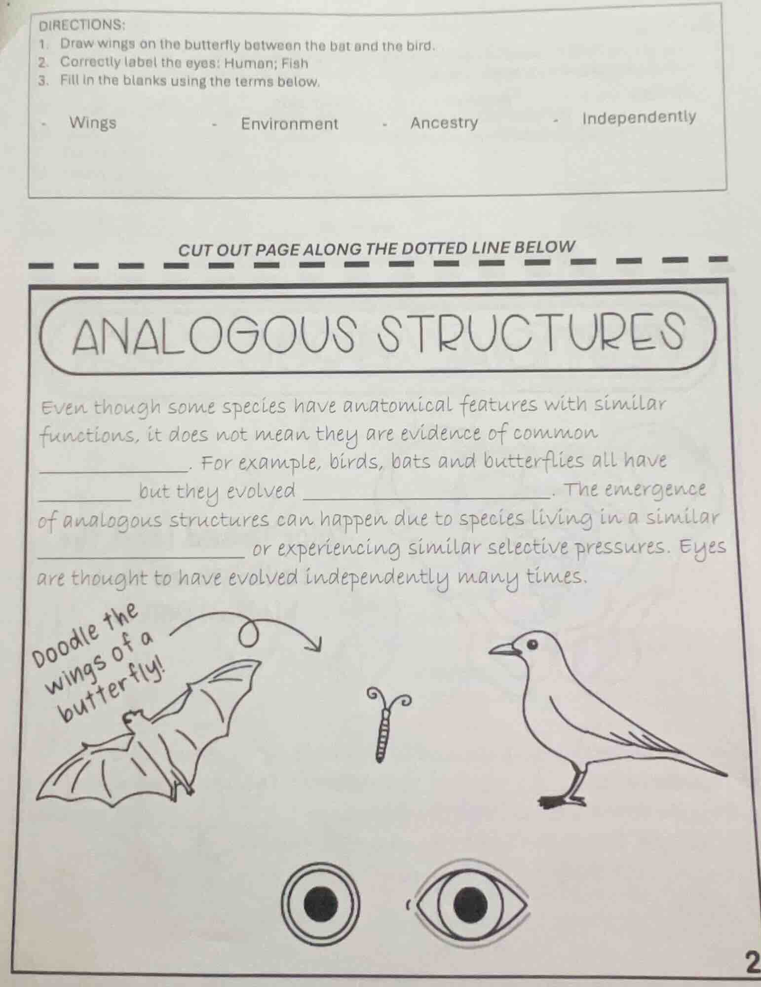 directions: 1. draw wings on the butterfly between the bat and the bird…