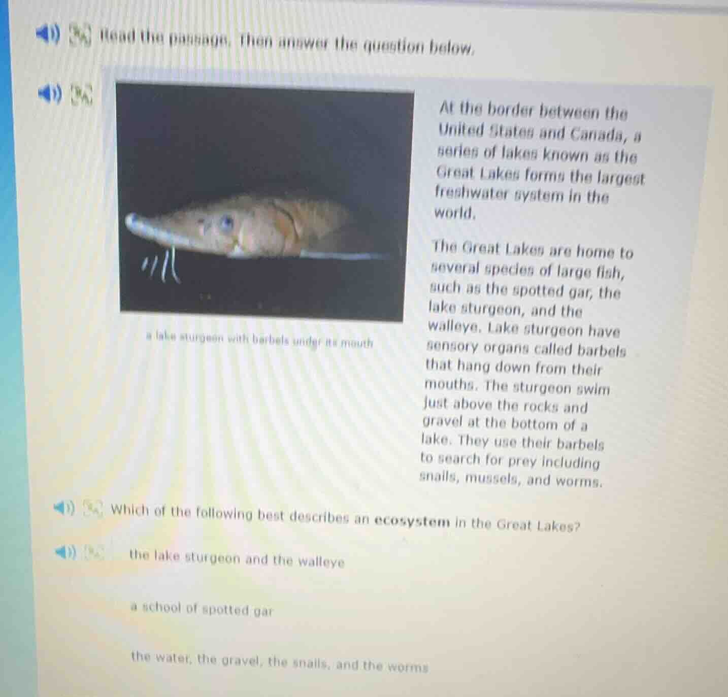 read the passage, then answer the question below. image: a lake sturgeo…