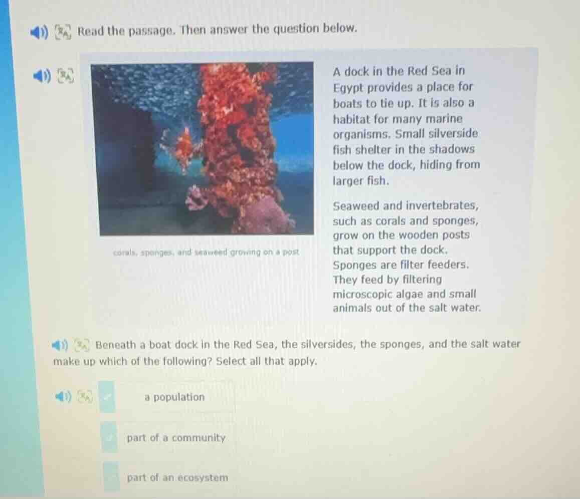 read the passage. then answer the question below. a dock in the red sea…