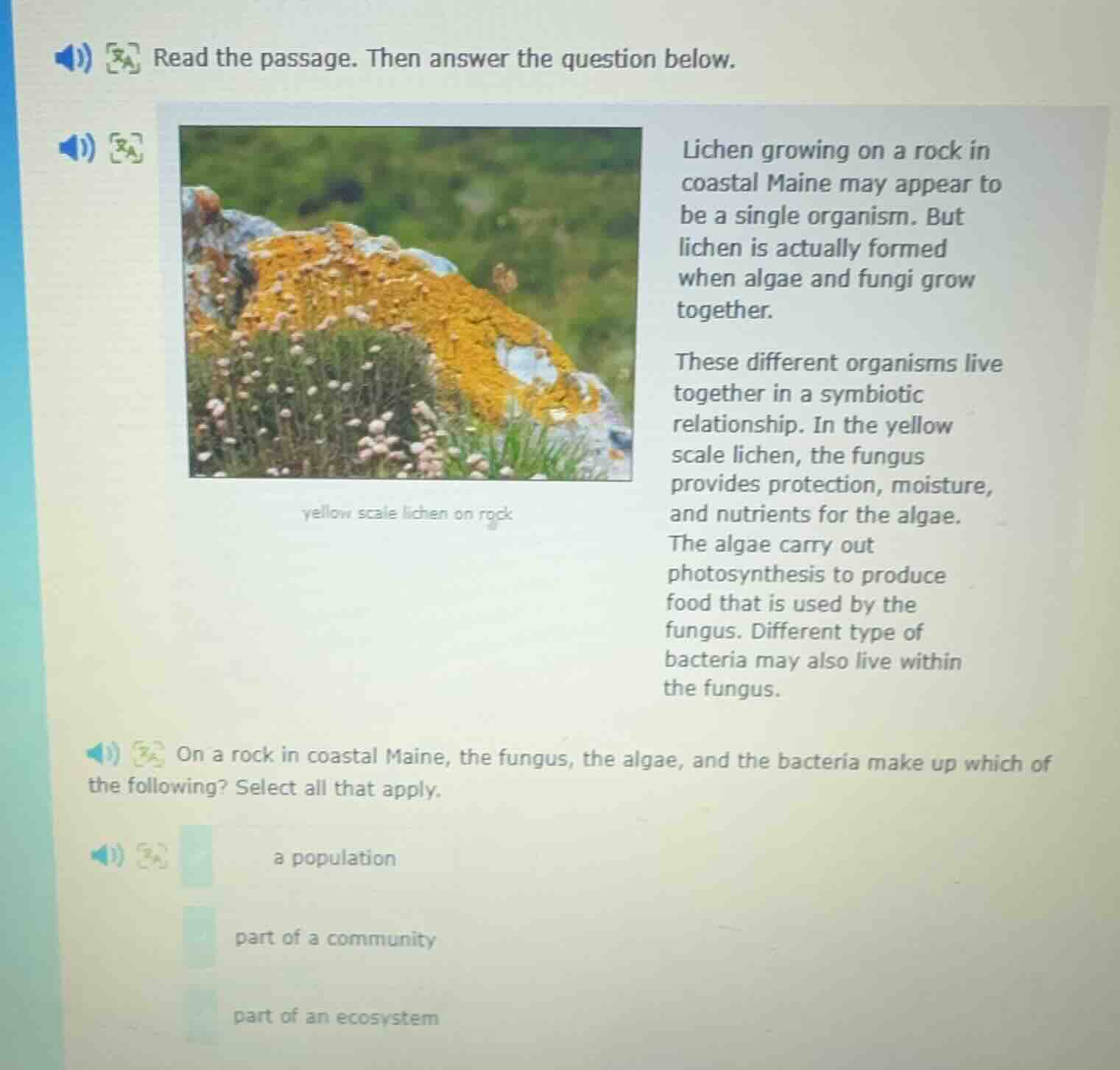 read the passage. then answer the question below. lichen growing on a r…