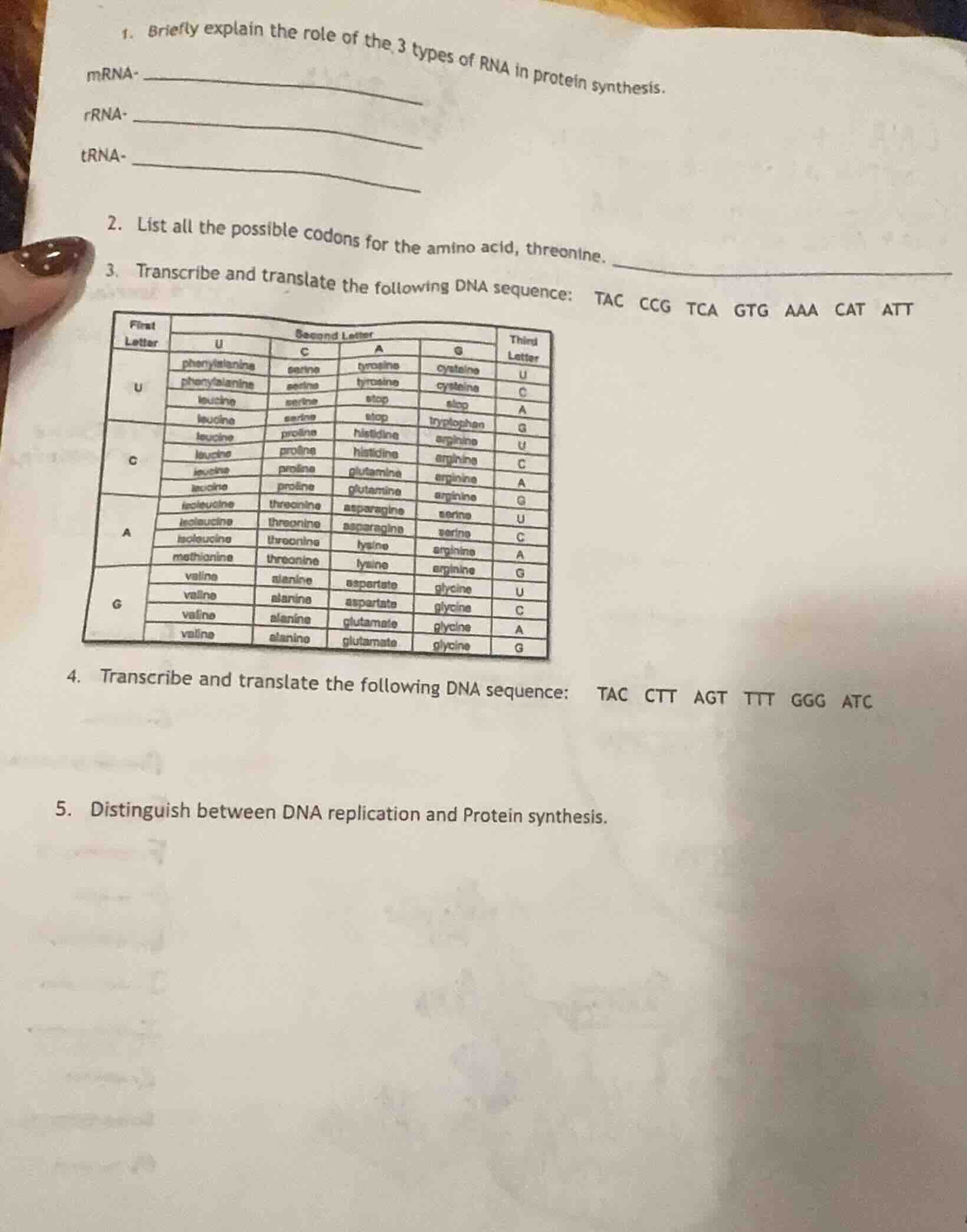 1. briefly explain the role of the 3 types of rna in protein synthesis.…