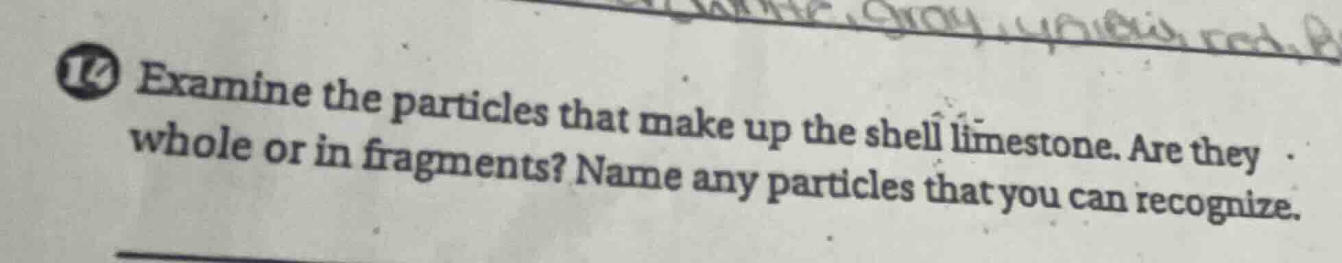 14 examine the particles that make up the shell limestone. are they who…