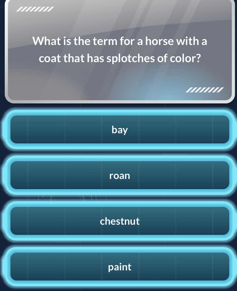 what is the term for a horse with a coat that has splotches of color? b…