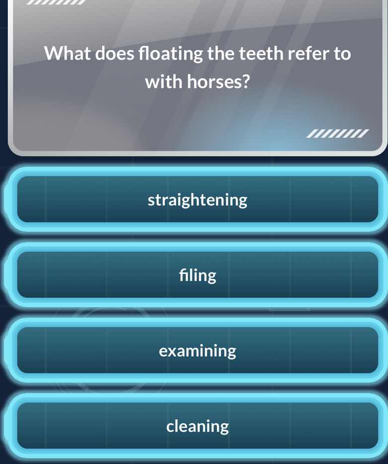 what does floating the teeth refer to with horses? straightening filing…