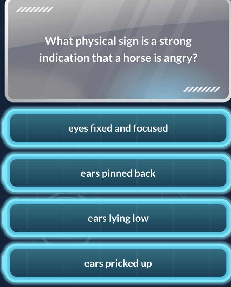 what physical sign is a strong indication that a horse is angry? eyes f…