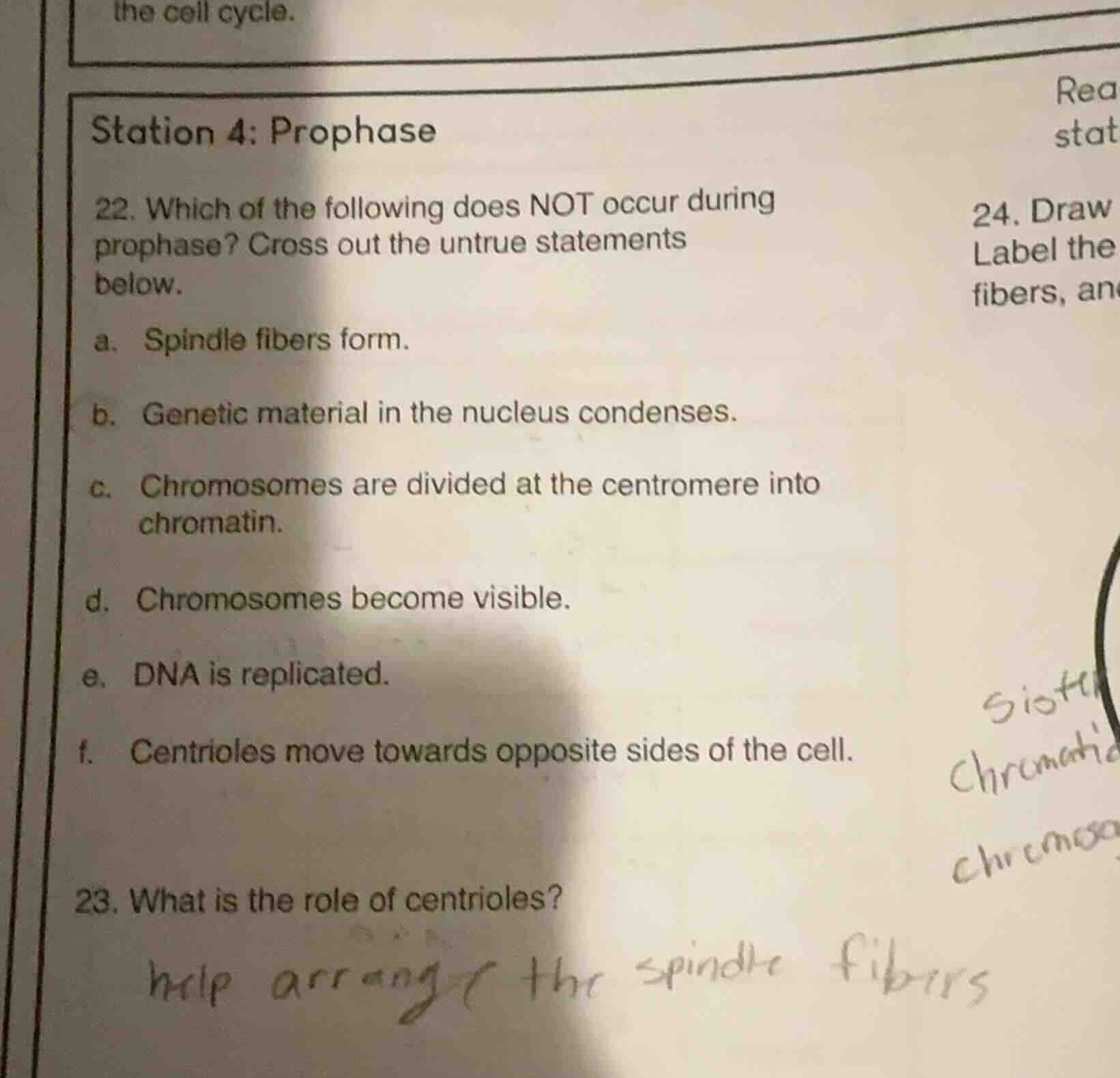 station 4: prophase 22. which of the following does not occur during pr…