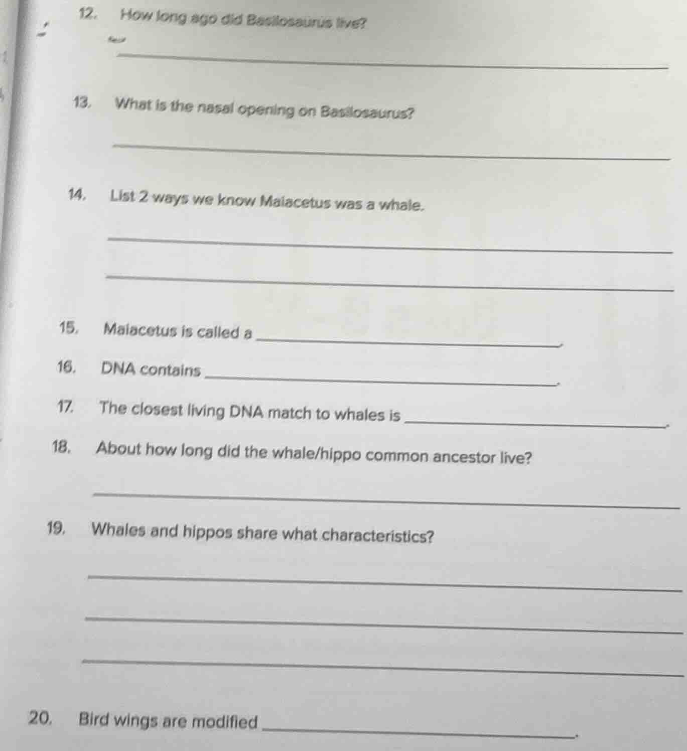 12. how long ago did basilosaurus live? 13. what is the nasal opening o…