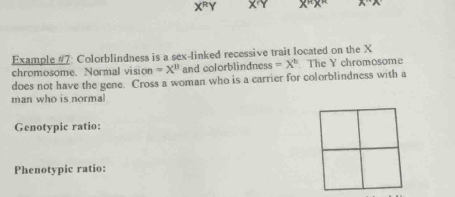 example #7: colorblindness is a sex - linked recessive trait located on…