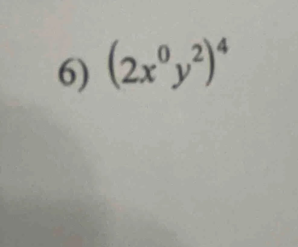 6) $(2x^{0}y^{2})^{4}$