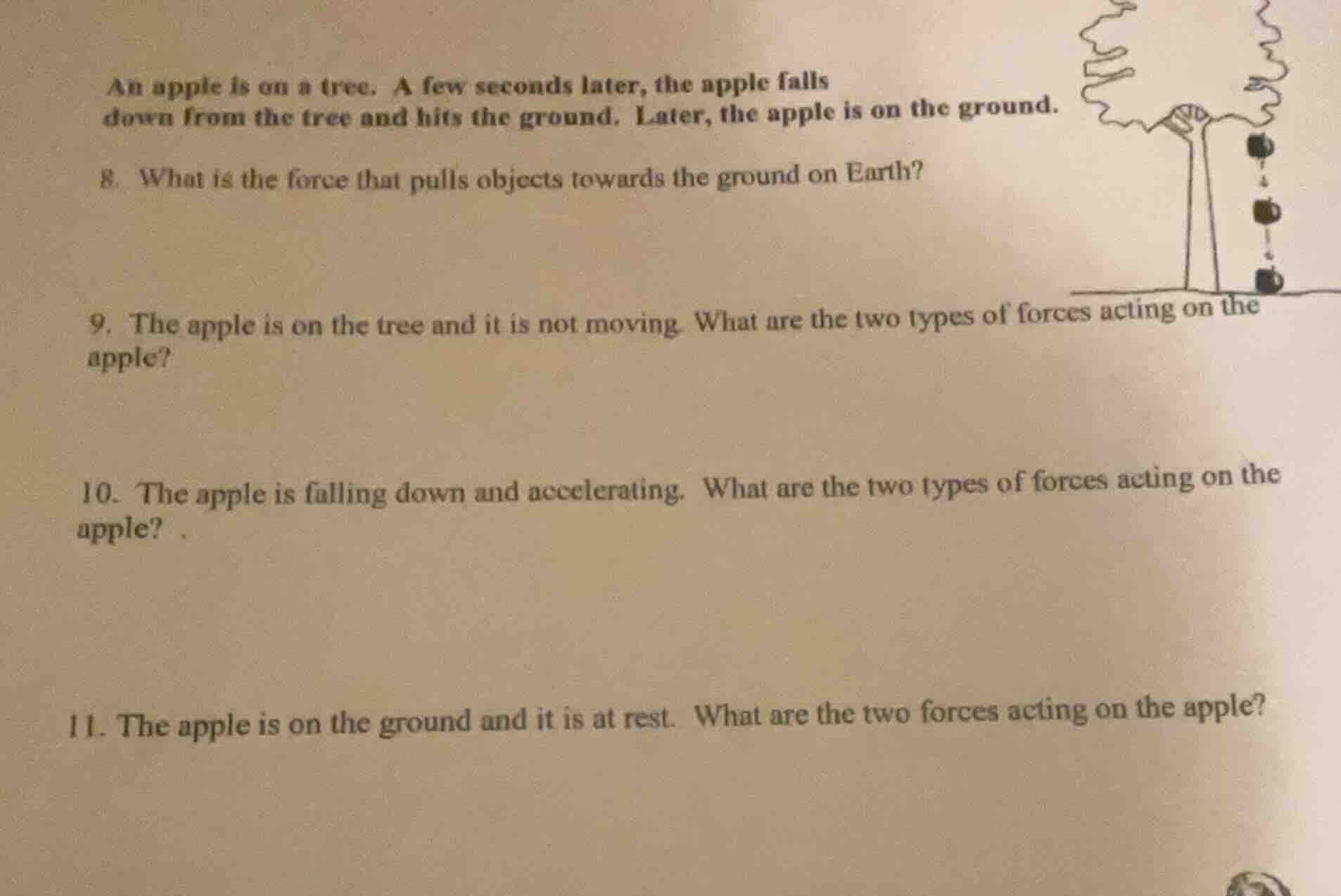 an apple is on a tree. a few seconds later, the apple falls down from t…