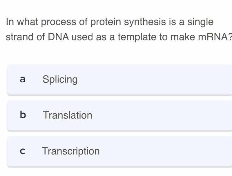 in what process of protein synthesis is a single strand of dna used as …