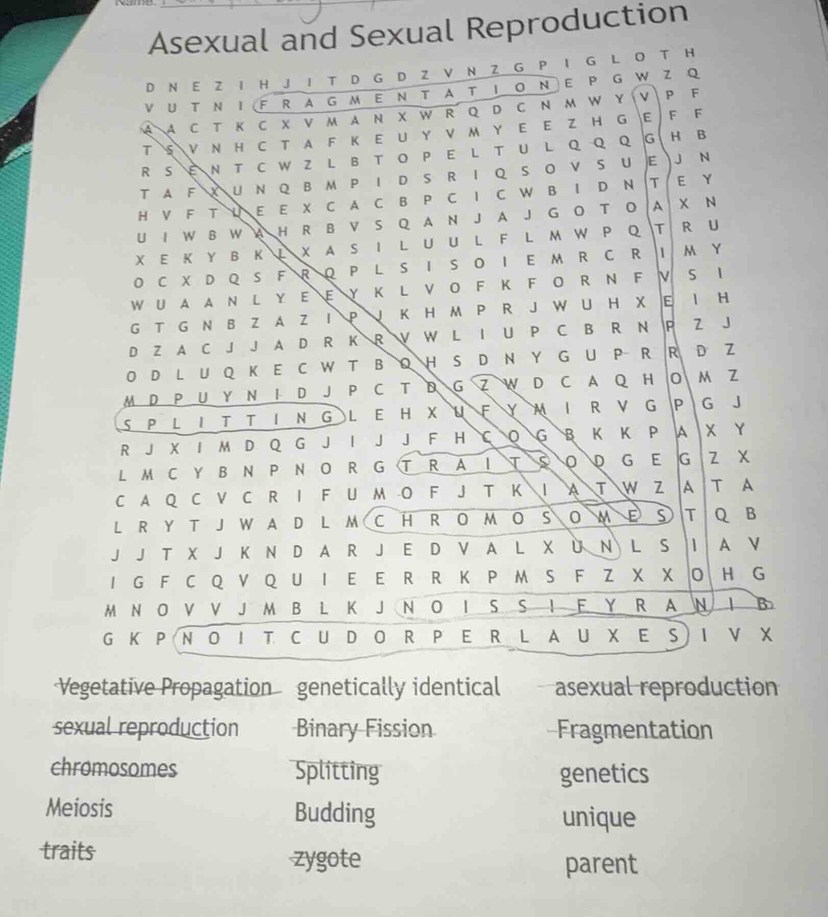asexual and sexual reproduction vegetative propagation genetically iden…
