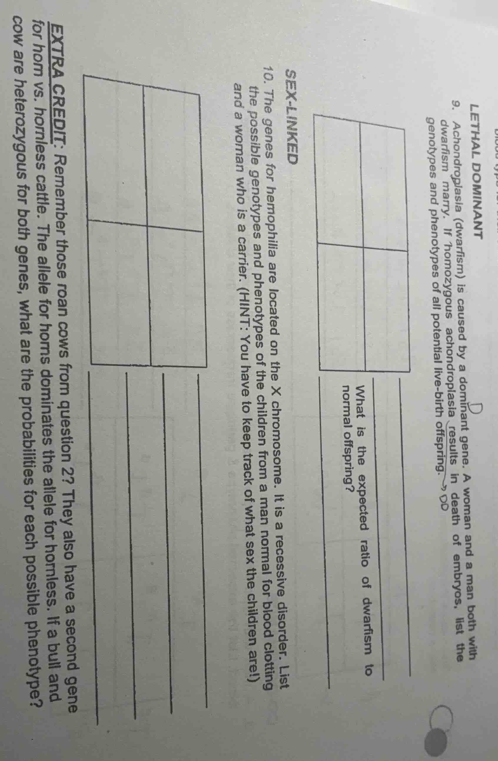 9. lethal dominant achondroplasia (dwarfism) is caused by a dominant ge…