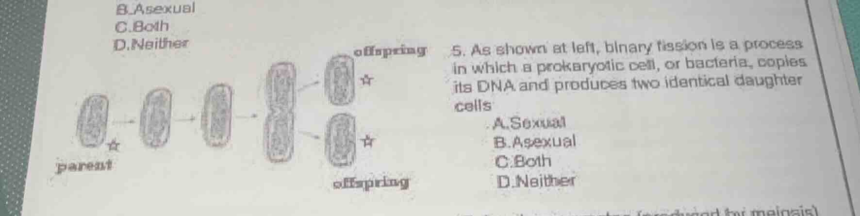 b.asexual c.both d.neither 5. as shown at left, binary fission is a pro…