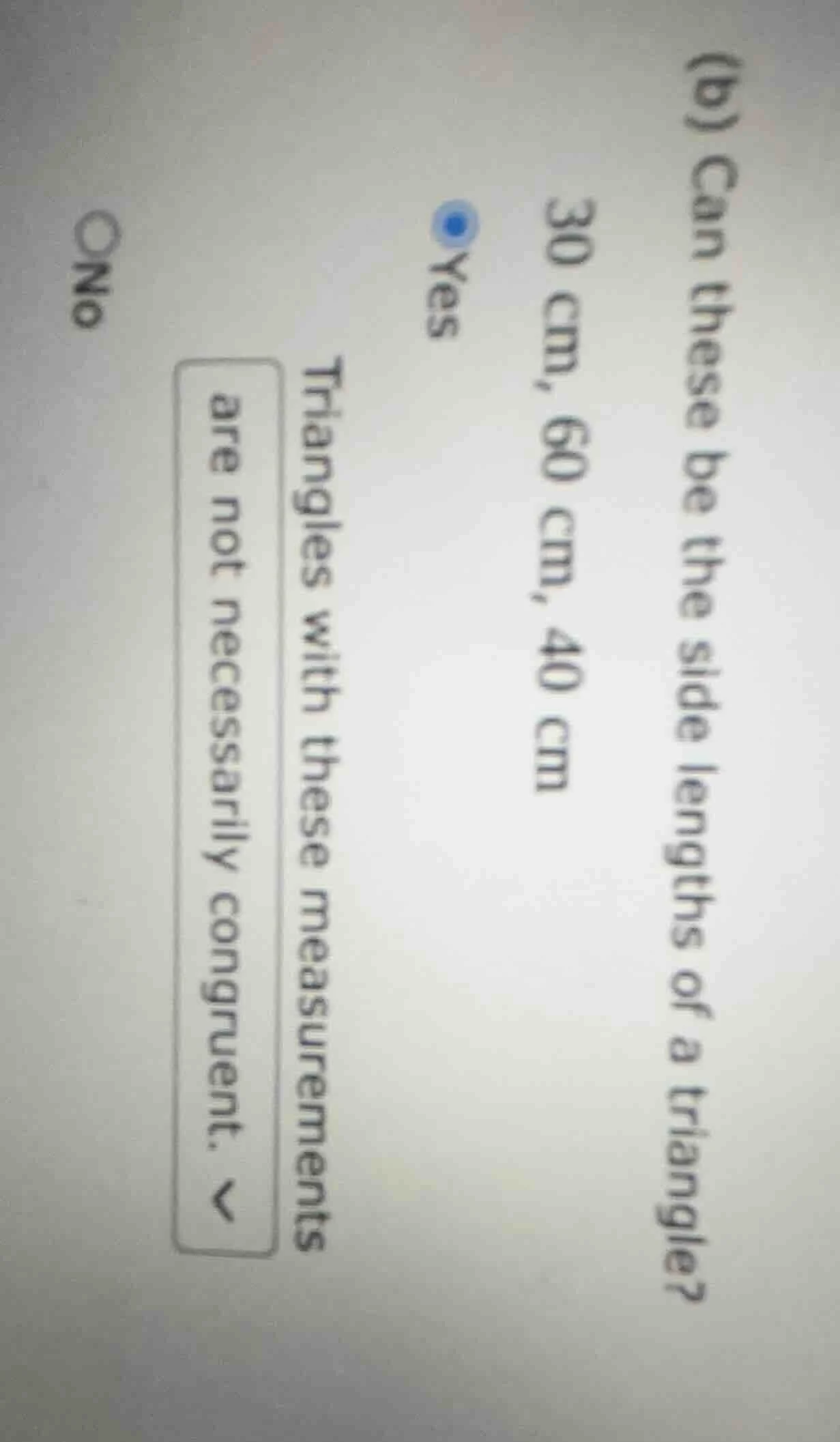 (b) can these be the side lengths of a triangle? 30 cm, 60 cm, 40 cm ye…