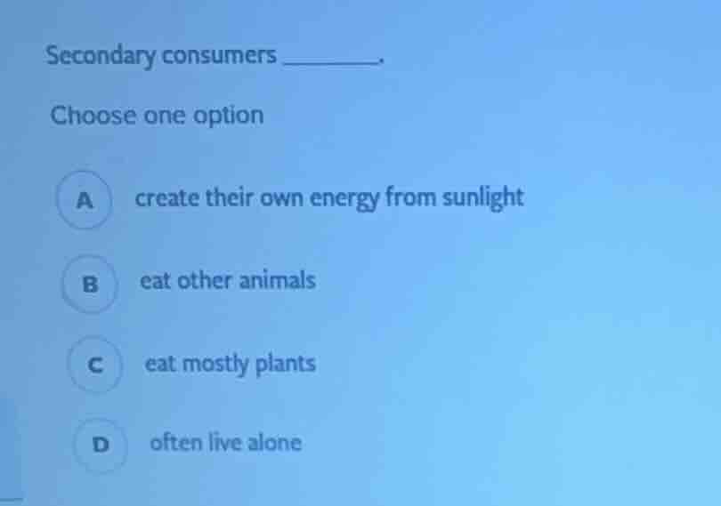 secondary consumers ______. choose one option a create their own energy…