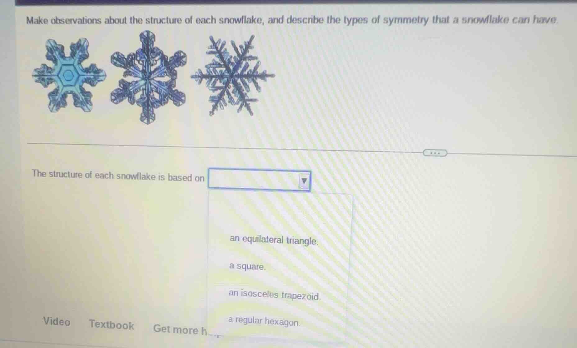 make observations about the structure of each snowflake, and describe t…