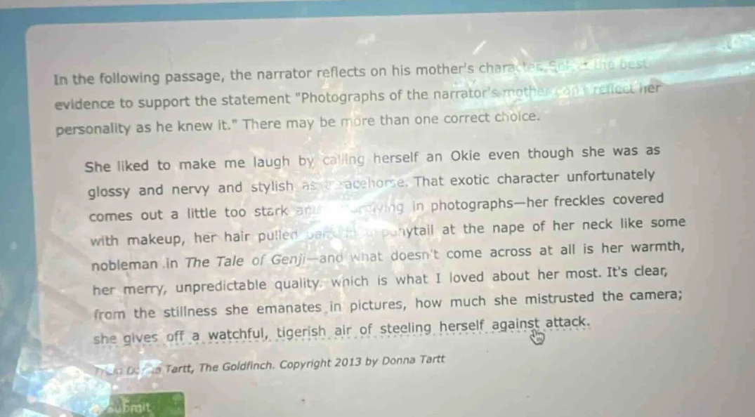in the following passage, the narrator reflects on his mothers characte…