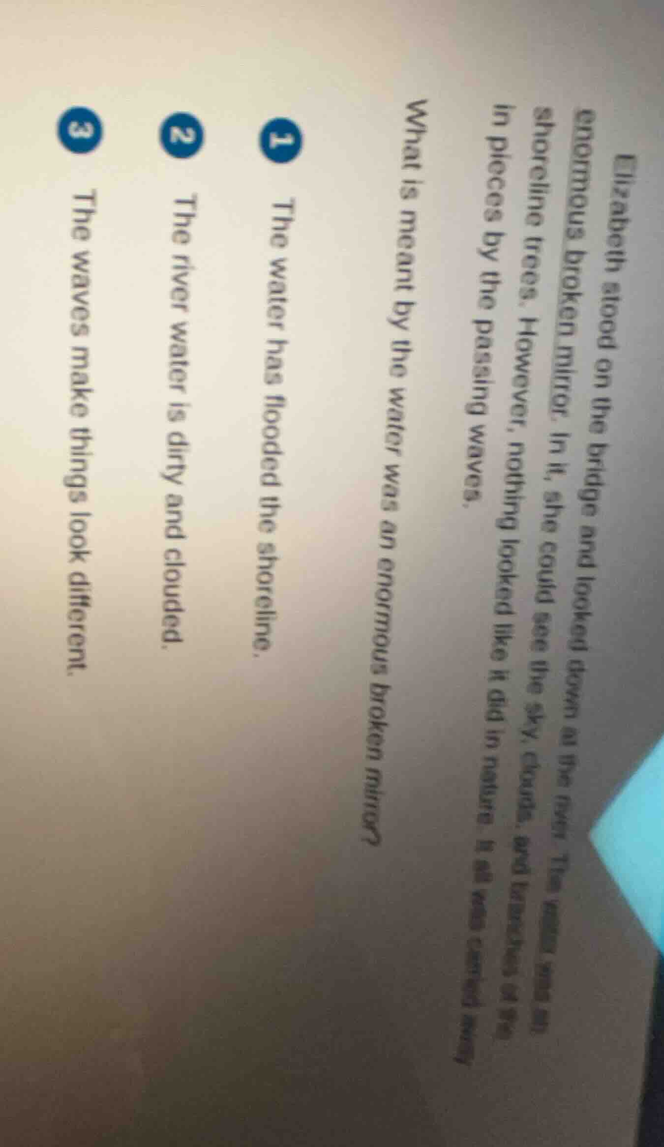 elizabeth stood on the bridge and looked down at the river. the water w…