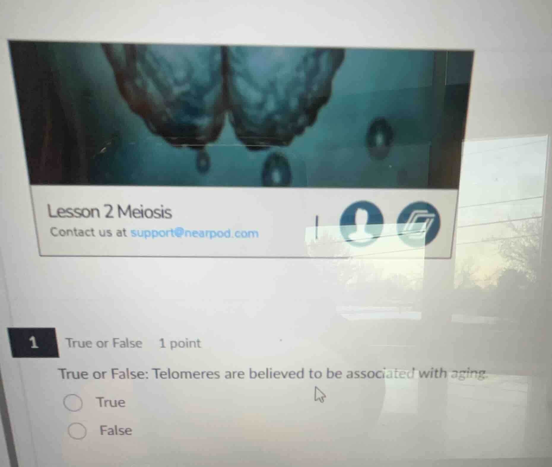 lesson 2 meiosis contact us at support@nearpod.com 1 true or false 1 po…