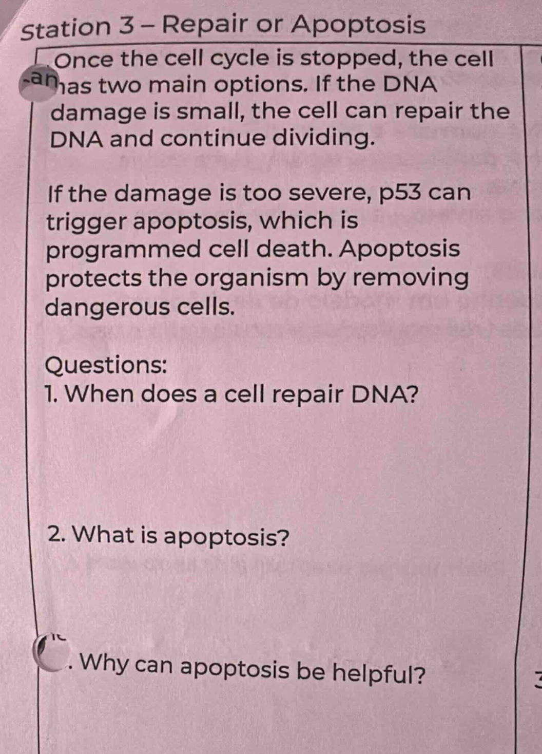 station 3 – repair or apoptosis once the cell cycle is stopped, the cel…