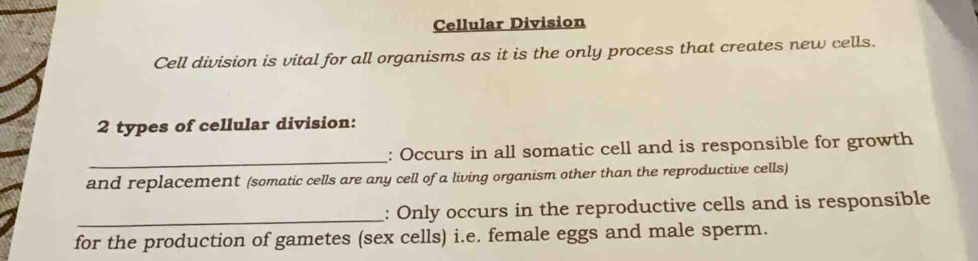 cellular division cell division is vital for all organisms as it is the…